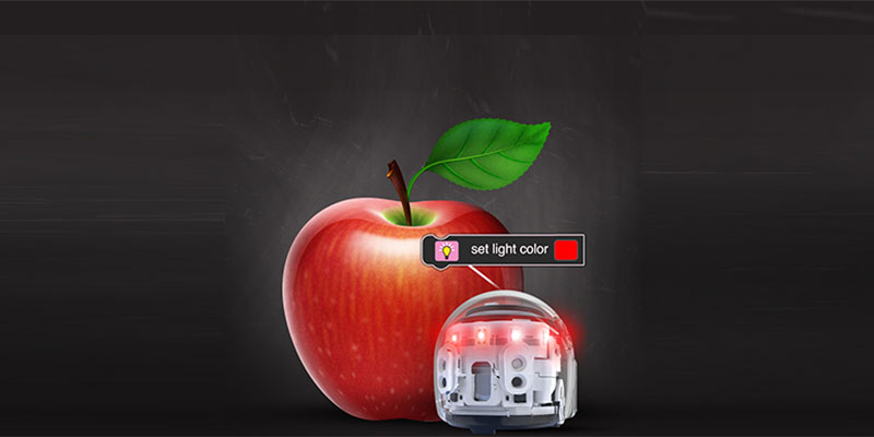 Teacher Appreciation Week: celebrating STEAM leaders