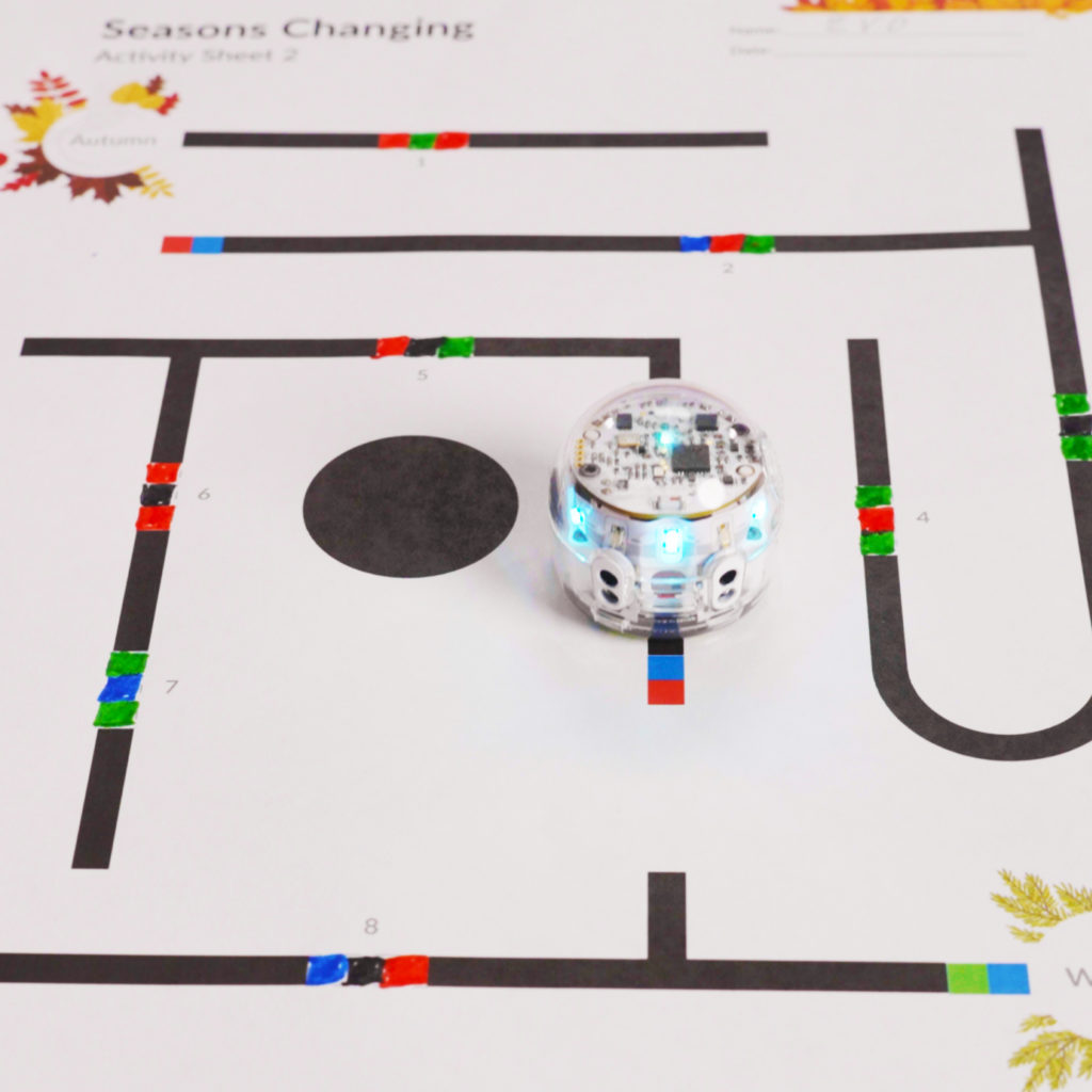 A picture from the STEM activity, Seasons Changing by Ozobot