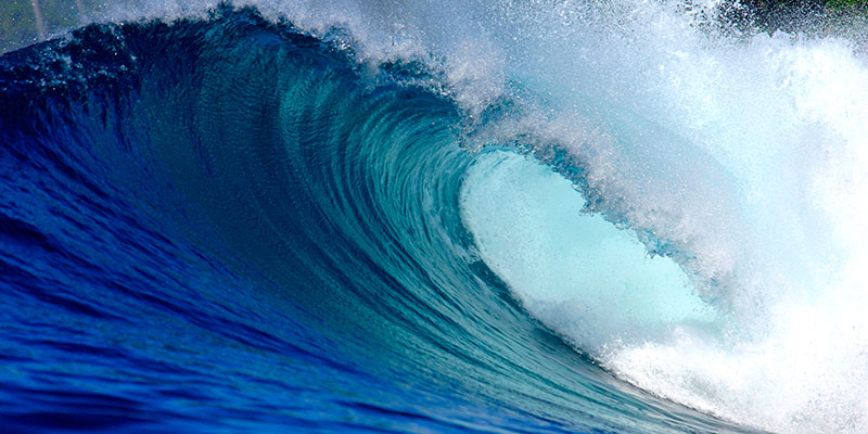 Rides, Waves, and Robots: an interview with artist and engineer Mitch Wenger