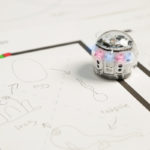Life cycles with Ozobot teaches students about two organisms' life cycles in this STEM activity