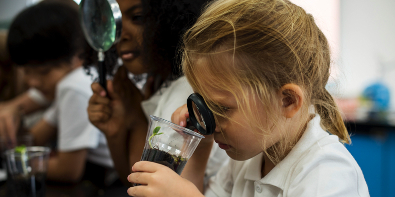Climate and environment lessons - Texas teachers' approach