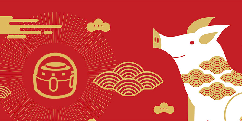 Chinese New Year STEAM lesson plans for every grade