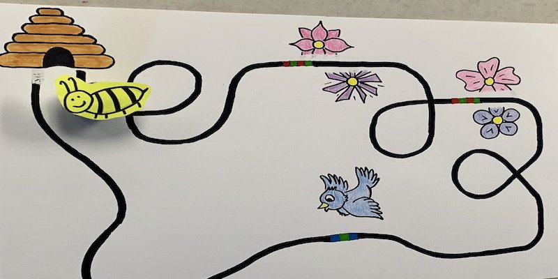 Bees are the unsung heroes of our ecosystem. Learn how and why with Ozobot