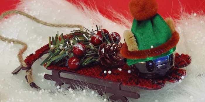 Celebrate this holiday season with fun, hands-on Ozobot lessons