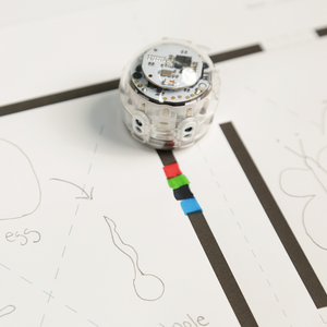 September Lesson Spotlight 2023: students create interactive diagrams to show the life cycles of animals. Hands-on STEAM lessons for third graders