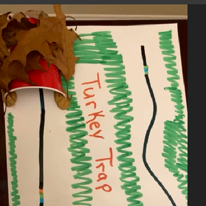 A picture of How to Catch a Turkey STEAM activity. Students create a trap using color codes to catch the turkey (Evo)