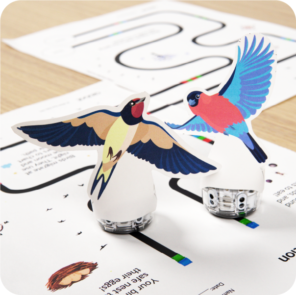 May's Lesson Spotlight 2024: The Spring Migration STEAM activity for grades K-2