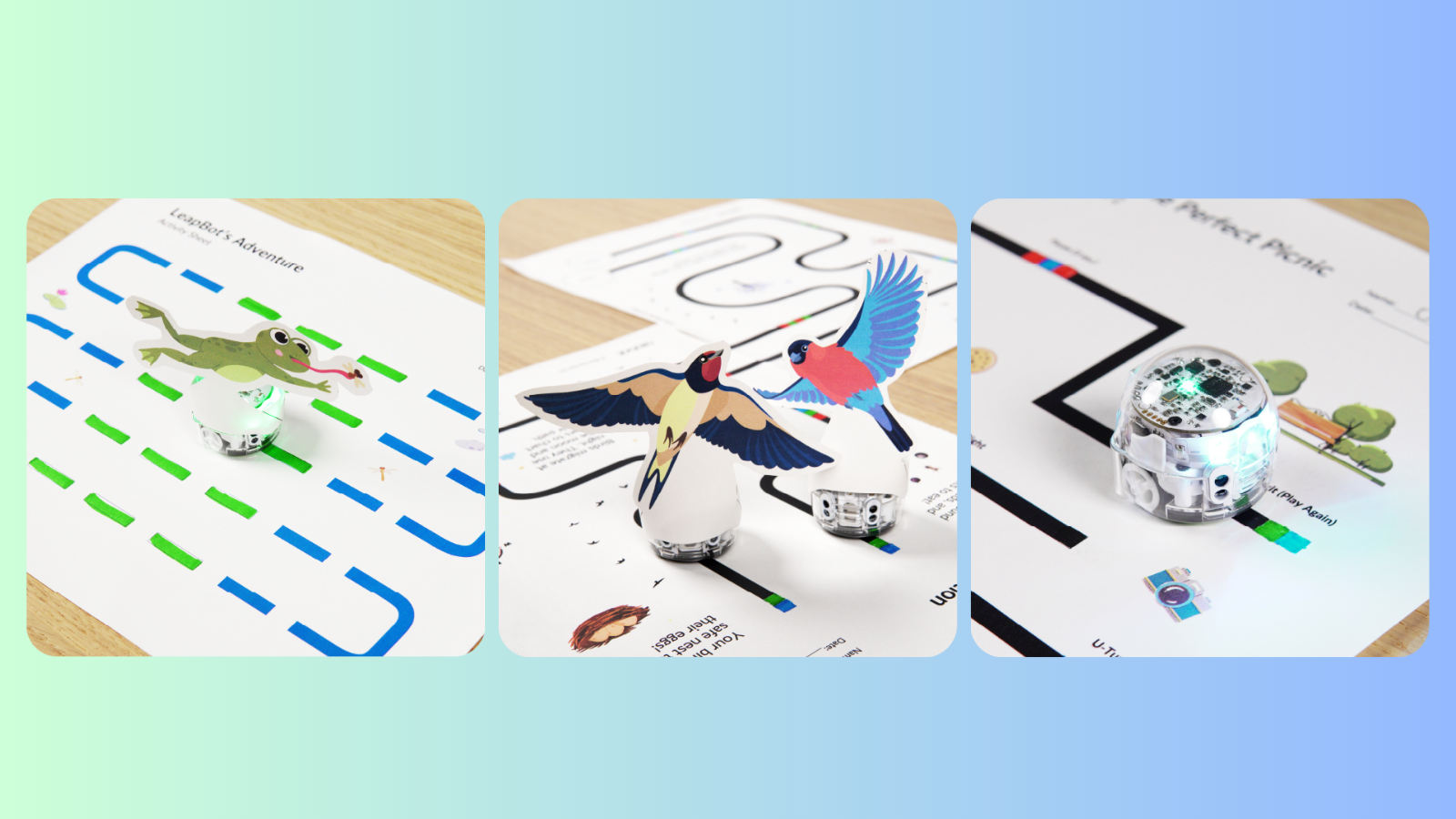 May's Lesson Spotlight 2024 - STEAM activities for students by Ozobot