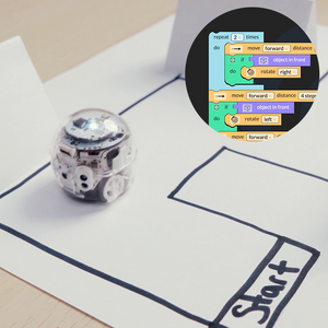 A picture from Introduction to OzoBlockly 05: Skills Check 1 lesson for grades 6-12. Advanced coding activities for computer science students.