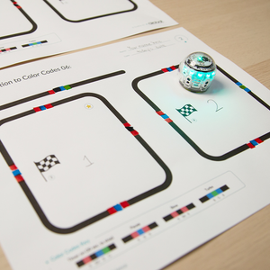 Introduction to Color Codes 06: Timers video lessons.
Easy screen-free coding activities for students
